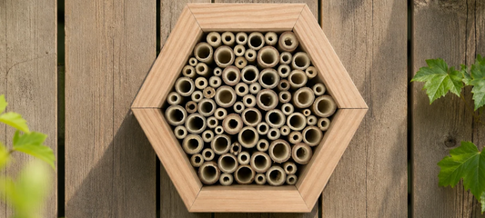 Waar plaats je een insectenhotel?