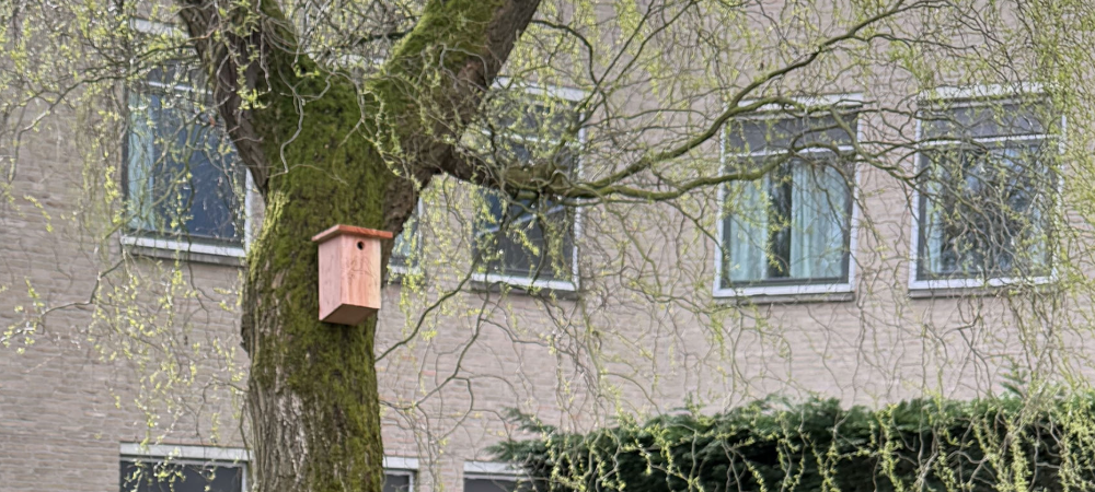 Houten vogelhuisje dat in het najaar aan een boom wordt opgehangen