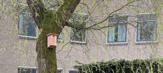 Houten vogelhuisje dat in het najaar aan een boom wordt opgehangen