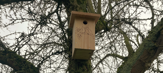 Houten vogelhuisje op een rustige en beschutte plek in een groene tuin