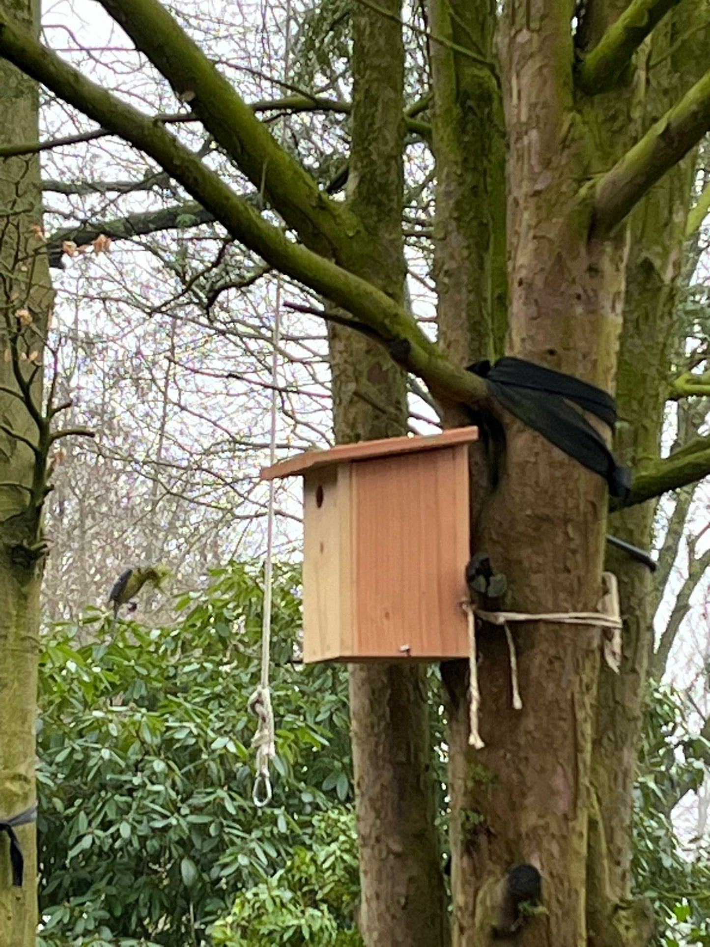 DeBlijeEgel - Vogelhuis - Vogelhuisje