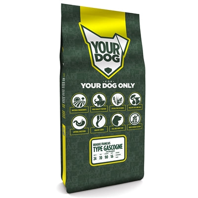 Yourdog Braque Français Type Gascogne Volwassen