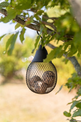 Trixie Voerdispenser Voor Mezenbollen / Pindas Zwart