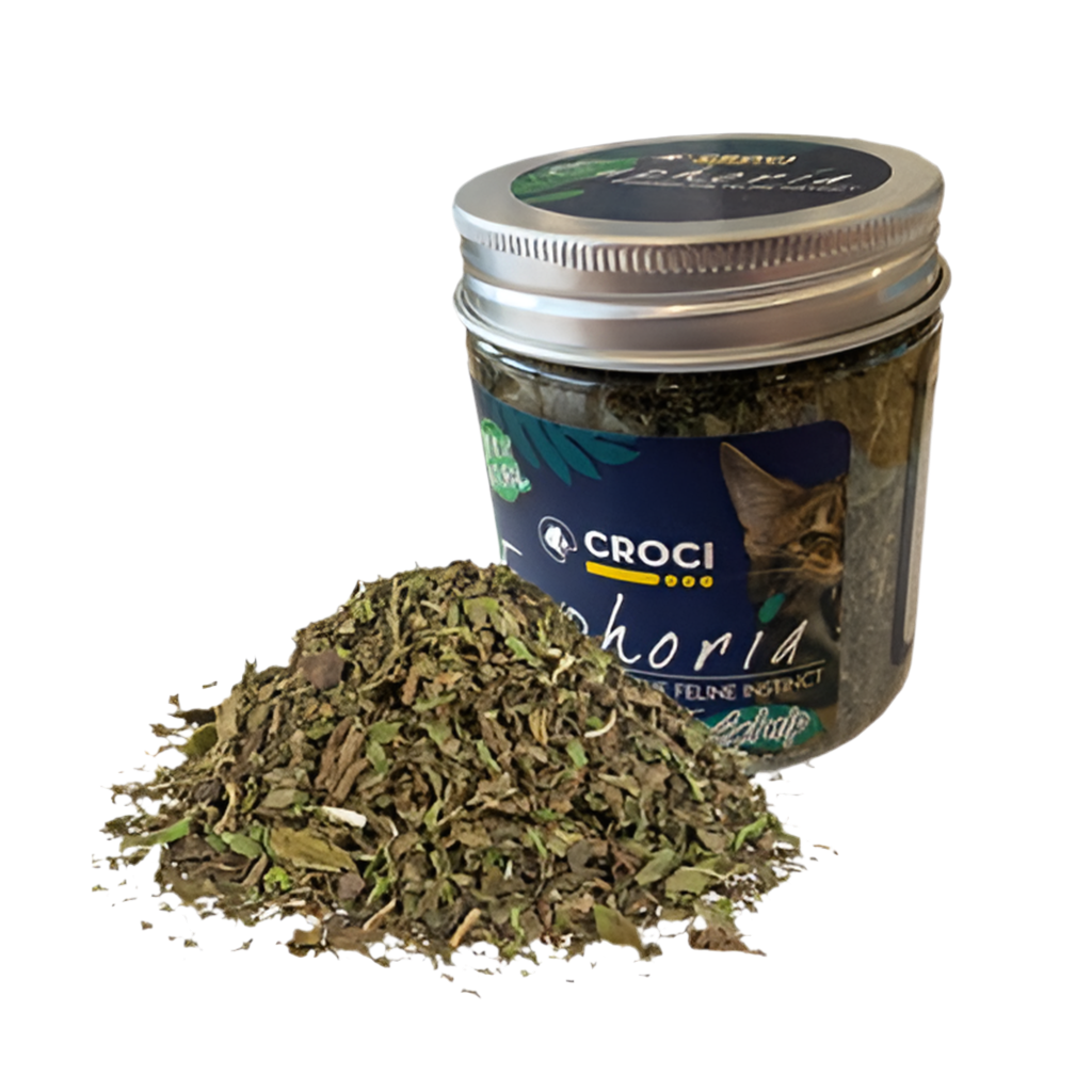 Croci Euphoria Catnip Pot