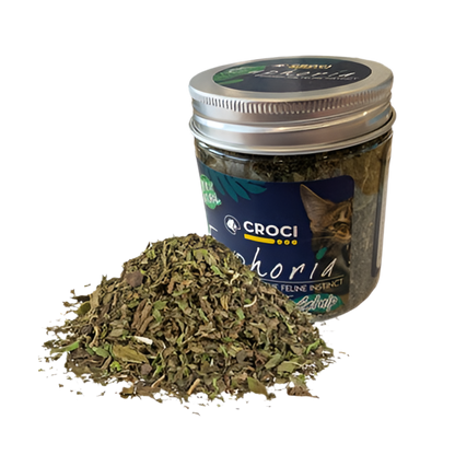 Croci Euphoria Catnip Pot