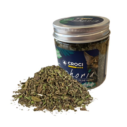 Croci Euphoria Catnip Pot