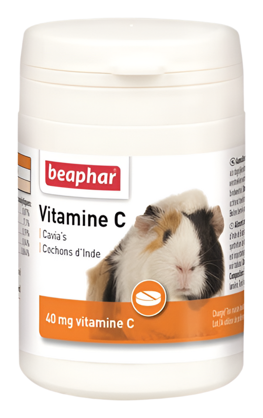 Vitamine C Voor Cavia🐹✨