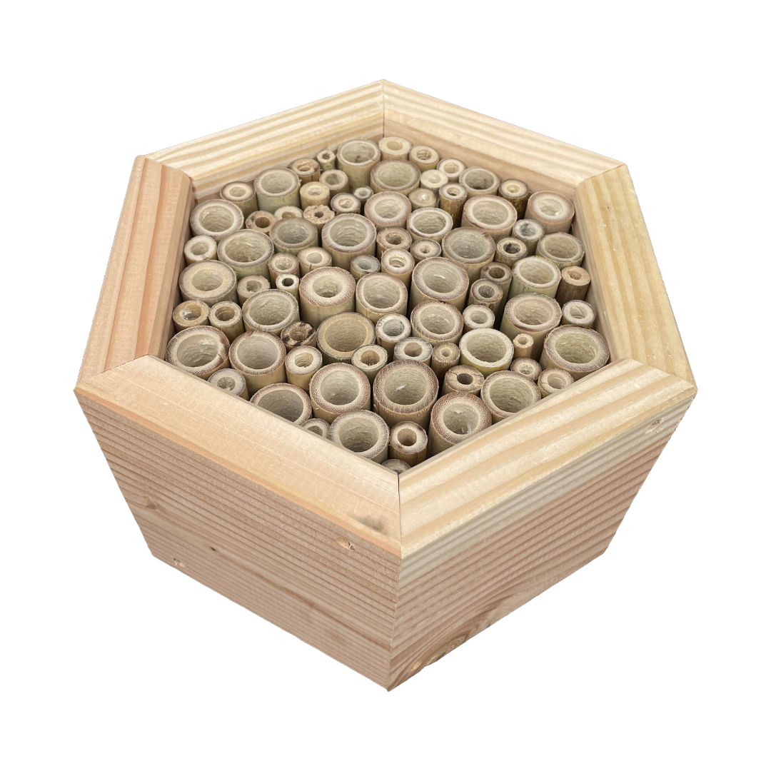 Insectenhotel - bamboestokken - bijen - 25 cm - maat M - diepte 10 cm