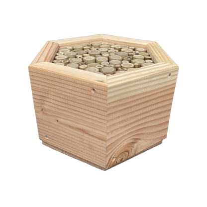 Insectenhotel - bamboestokken - bijen - 25 cm - maat L - diepte 15 cm