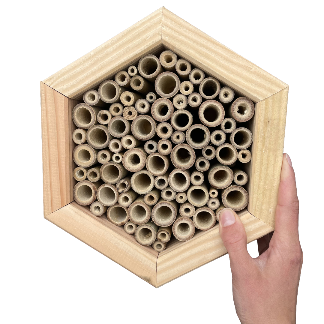 Insectenhotel - bamboestokken - bijen - 25 cm - maat M - diepte 10 cm