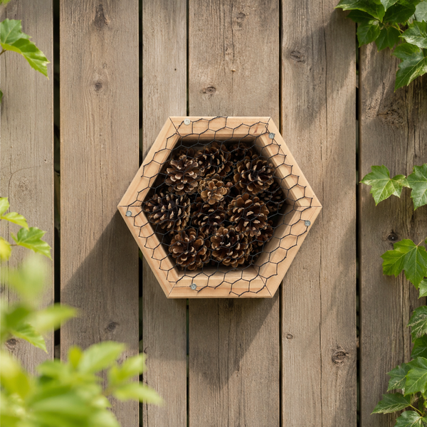 Insectenhotel - dennenappels - 25 cm - maat M - diepte 10 cm