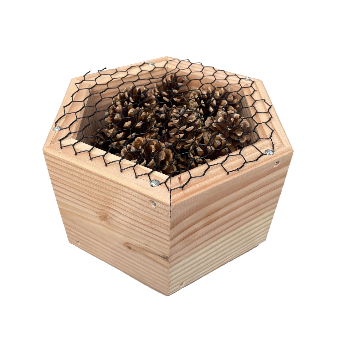 Insectenhotel - dennenappels - 25 cm - maat L - diepte 15 cm