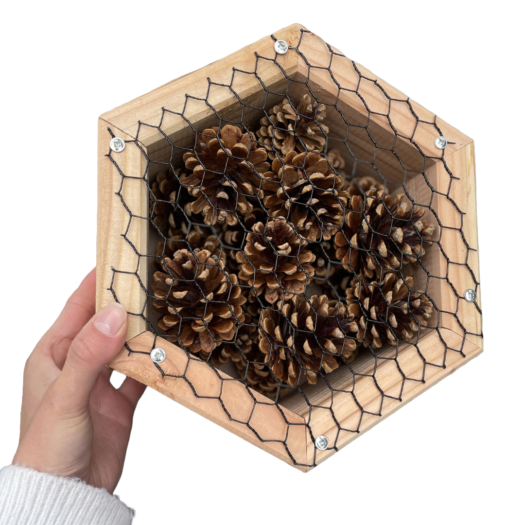 Insectenhotel - dennenappels - 25 cm - maat M - diepte 10 cm