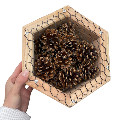 Insectenhotel - dennenappels - 25 cm - maat M - diepte 10 cm
