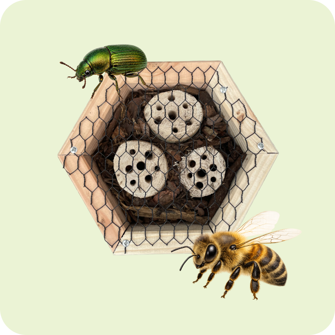 Insectenhotel - boomschors en stam - 25 cm - maat L - diepte 15 cm