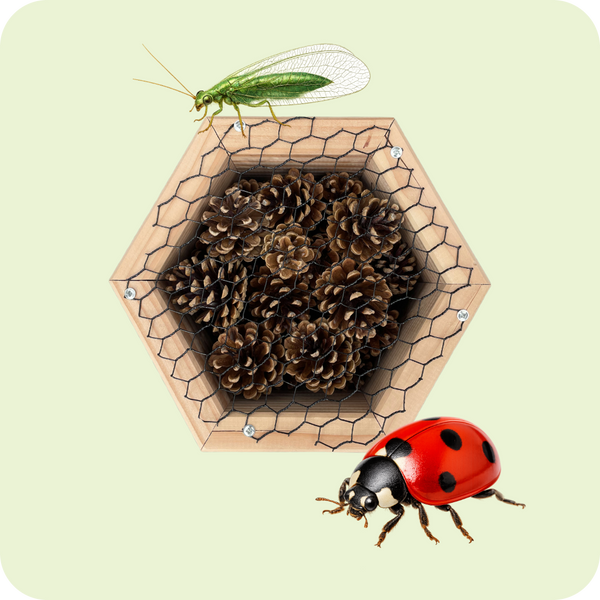 Insectenhotel - dennenappels - 25 cm - maat M - diepte 10 cm