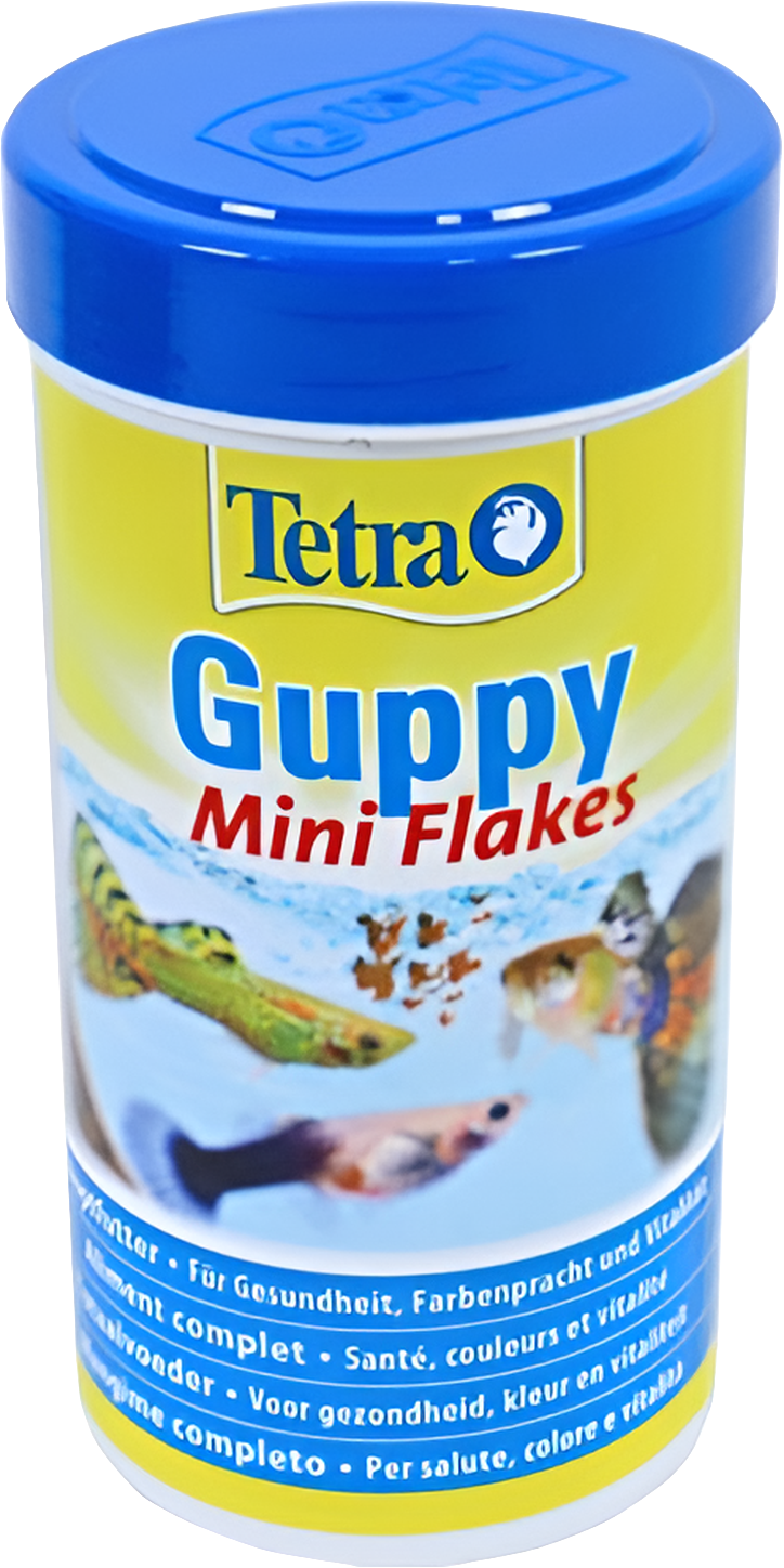 Guppy Visvoer Vlokken🐠🌟