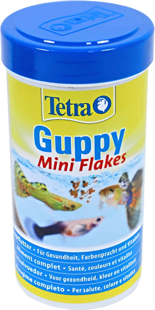 Guppy Visvoer Vlokken🐠🌟