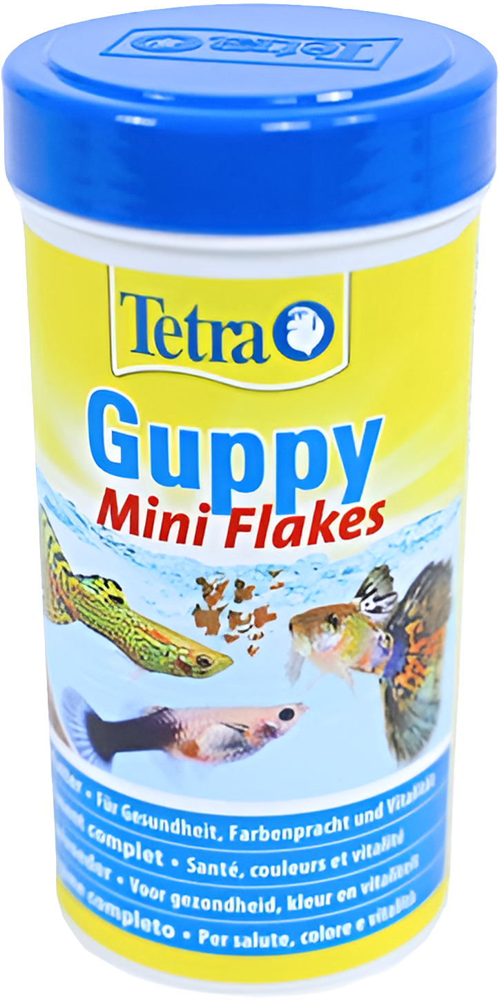 Guppy Visvoer Vlokken🐠🌟